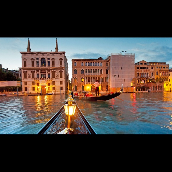 Meet your Posher, Lulu - Picture 1 of 1